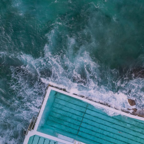 pexels-pixelcop-1556987