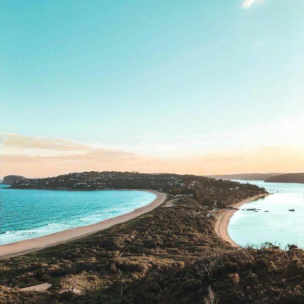 pexels-vince-2265879