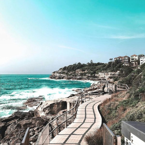 pexels-vince-2265880